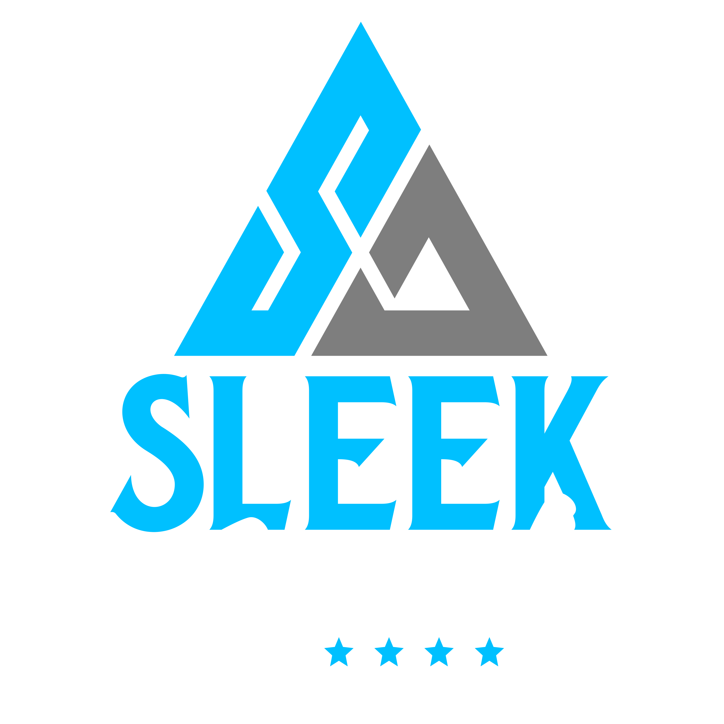 Sleek apparels inc